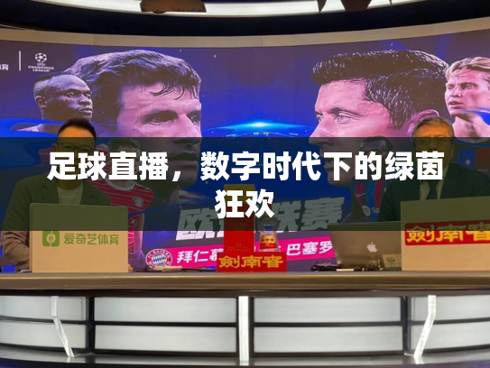足球直播，数字时代下的绿茵狂欢