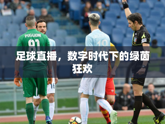 足球直播，数字时代下的绿茵狂欢