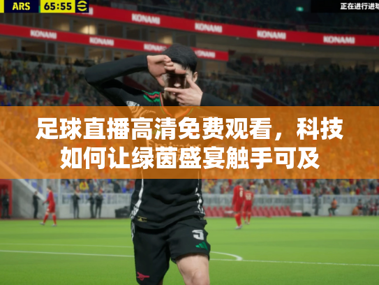 足球直播高清免费观看，科技如何让绿茵盛宴触手可及