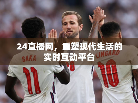 24直播网，重塑现代生活的实时互动平台