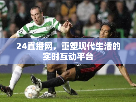 24直播网，重塑现代生活的实时互动平台