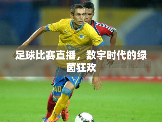 足球比赛直播，数字时代的绿茵狂欢