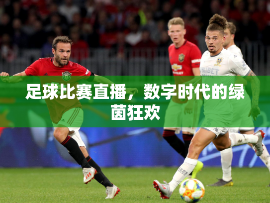 足球比赛直播，数字时代的绿茵狂欢
