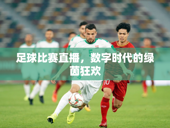 足球比赛直播，数字时代的绿茵狂欢