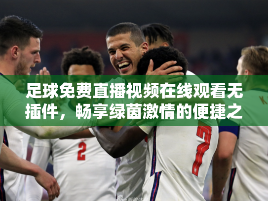足球免费直播视频在线观看无插件，畅享绿茵激情的便捷之道