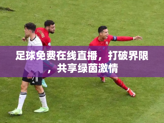 足球免费在线直播，打破界限，共享绿茵激情