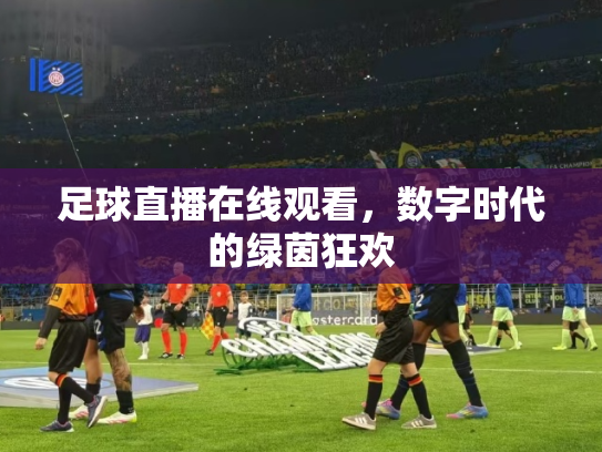 足球直播在线观看，数字时代的绿茵狂欢