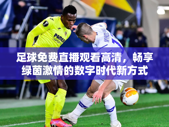 足球免费直播观看高清，畅享绿茵激情的数字时代新方式