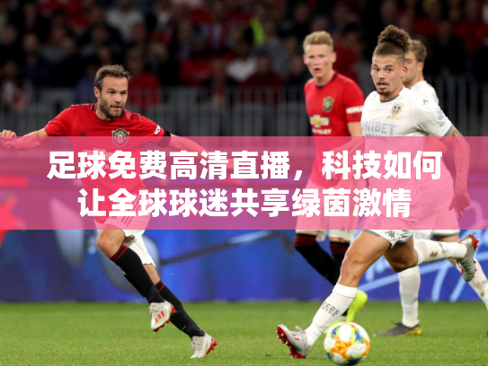 足球免费高清直播，科技如何让全球球迷共享绿茵激情