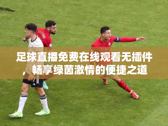足球直播免费在线观看无插件，畅享绿茵激情的便捷之道