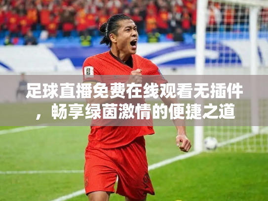 足球直播免费在线观看无插件，畅享绿茵激情的便捷之道