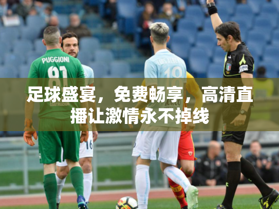 足球盛宴，免费畅享，高清直播让激情永不掉线