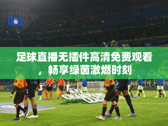 足球直播无插件高清免费观看，畅享绿茵激燃时刻