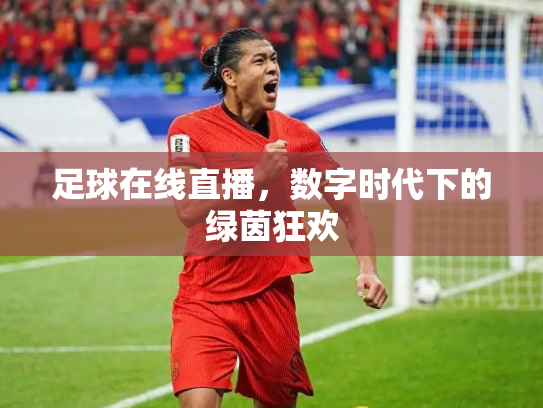 足球在线直播，数字时代下的绿茵狂欢