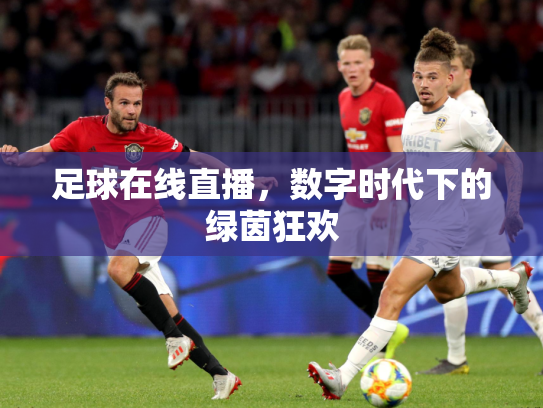 足球在线直播，数字时代下的绿茵狂欢