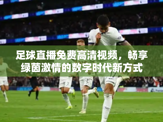 足球直播免费高清视频，畅享绿茵激情的数字时代新方式