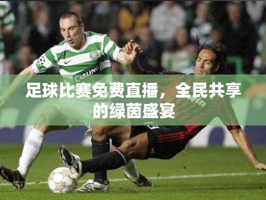 足球比赛免费直播，全民共享的绿茵盛宴