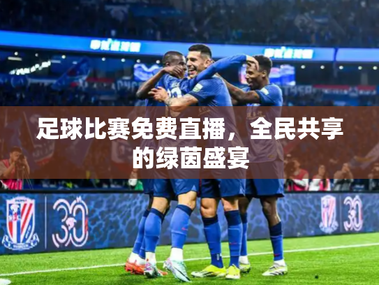 足球比赛免费直播，全民共享的绿茵盛宴