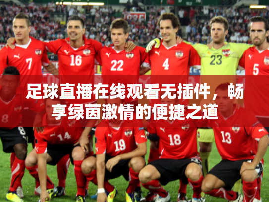 足球直播在线观看无插件，畅享绿茵激情的便捷之道