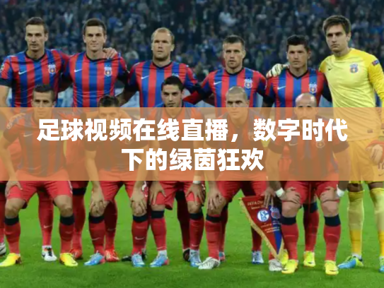 足球视频在线直播，数字时代下的绿茵狂欢
