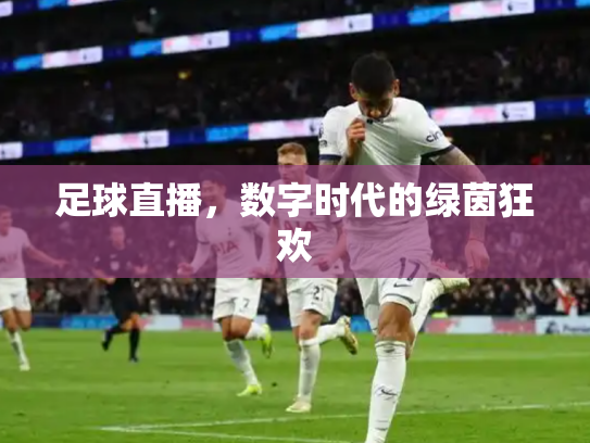 足球直播，数字时代的绿茵狂欢