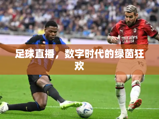 足球直播，数字时代的绿茵狂欢