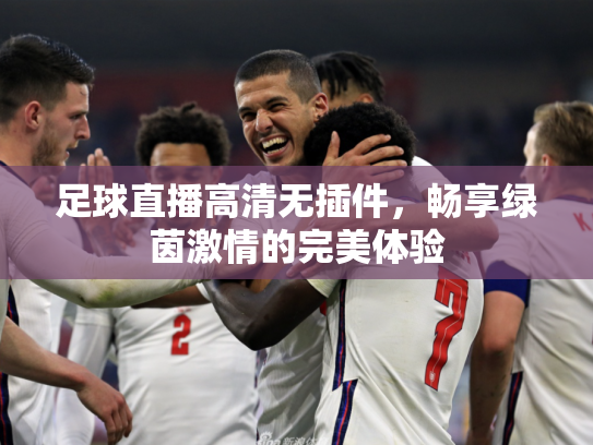 足球直播高清无插件，畅享绿茵激情的完美体验