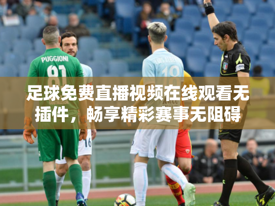 足球免费直播视频在线观看无插件，畅享精彩赛事无阻碍