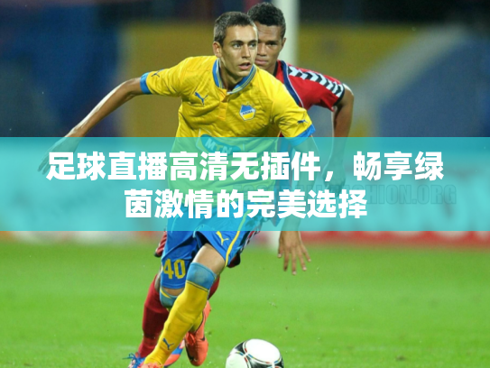足球直播高清无插件，畅享绿茵激情的完美选择