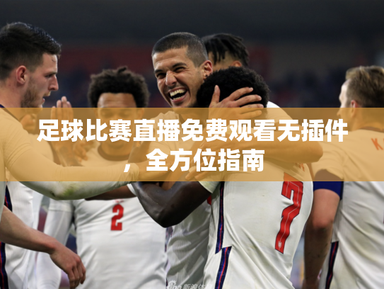 足球比赛直播免费观看无插件，全方位指南