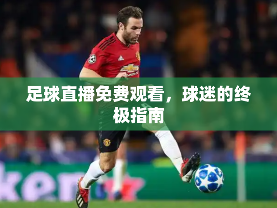 足球直播免费观看，球迷的终极指南