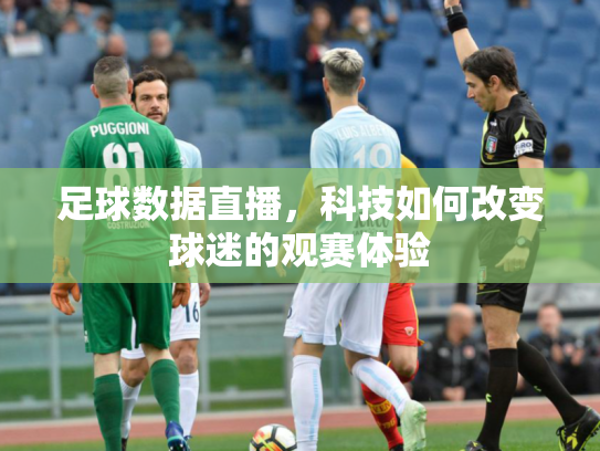 足球数据直播，科技如何改变球迷的观赛体验