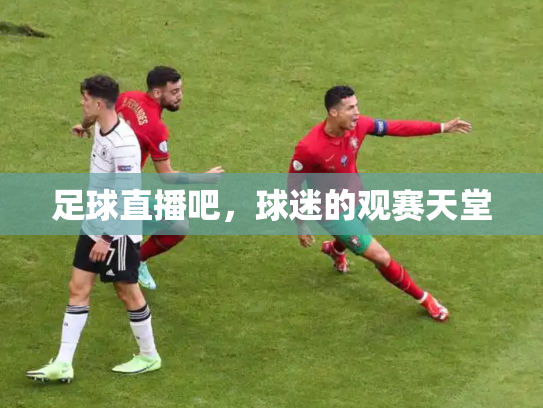 足球直播吧，球迷的观赛天堂