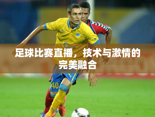 足球比赛直播，技术与激情的完美融合