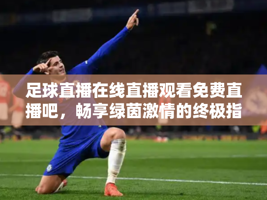 足球直播在线直播观看免费直播吧，畅享绿茵激情的终极指南