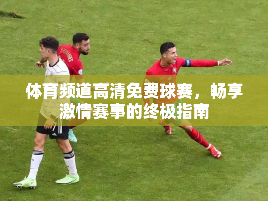 体育频道高清免费球赛，畅享激情赛事的终极指南