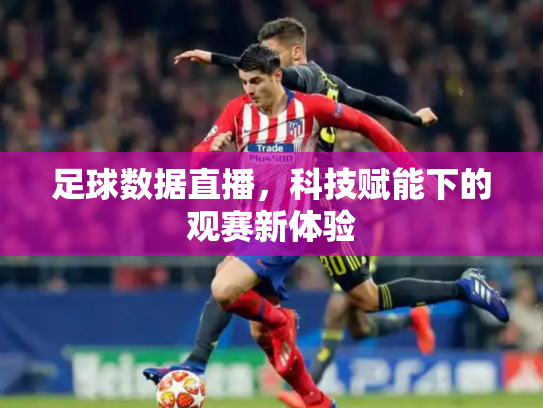 足球数据直播，科技赋能下的观赛新体验