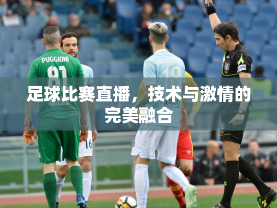 足球比赛直播，技术与激情的完美融合