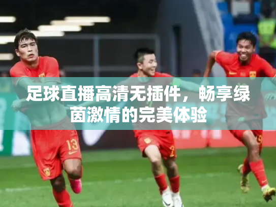 足球直播高清无插件，畅享绿茵激情的完美体验