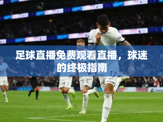 足球直播免费观看直播，球迷的终极指南