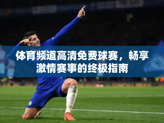 体育频道高清免费球赛，畅享激情赛事的终极指南