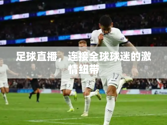 足球直播，连接全球球迷的激情纽带