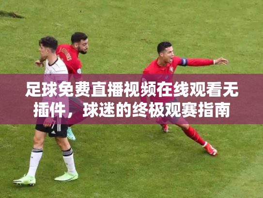 足球免费直播视频在线观看无插件，球迷的终极观赛指南