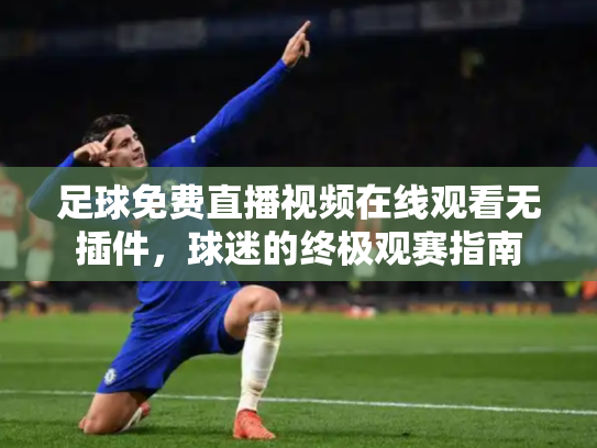 足球免费直播视频在线观看无插件，球迷的终极观赛指南