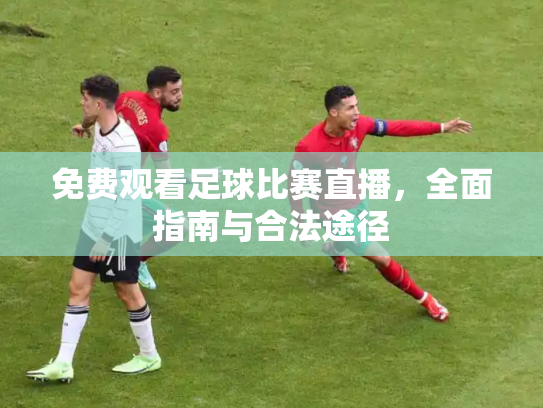 免费观看足球比赛直播，全面指南与合法途径