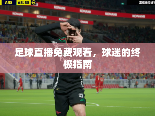 足球直播免费观看，球迷的终极指南