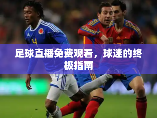 足球直播免费观看，球迷的终极指南