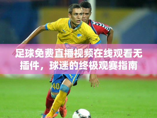 足球免费直播视频在线观看无插件，球迷的终极观赛指南
