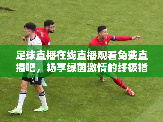 足球直播在线直播观看免费直播吧，畅享绿茵激情的终极指南