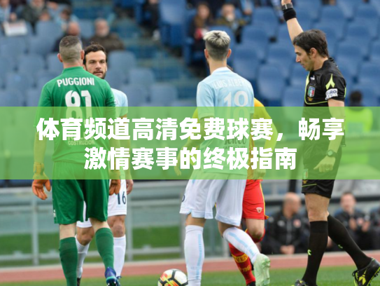 体育频道高清免费球赛，畅享激情赛事的终极指南
